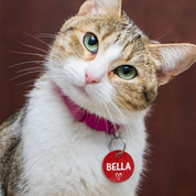 Custom Pet Tags red sample with cat bella