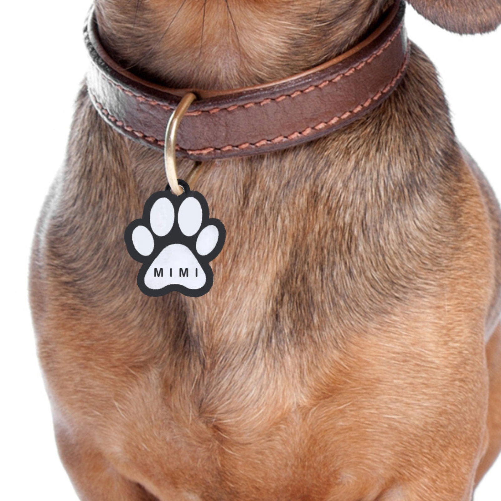 Custom Pet Tags sample with dog named Mimi