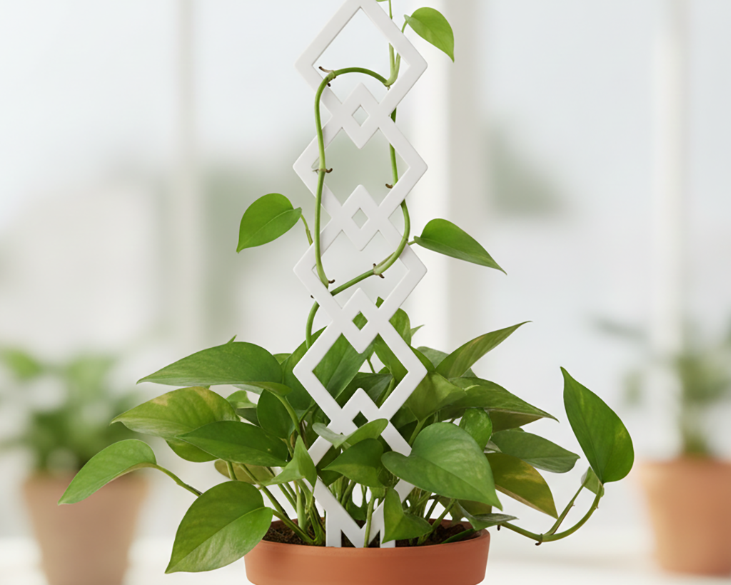 Plant-Trellis-Argyle_White_01_Image_Lifestyle.png