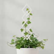 Argyle Vine Plant Trellis for Decorative Plant Support