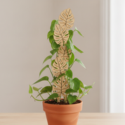 Monstera Leaf Plant Trellis for Decorative Plant Support