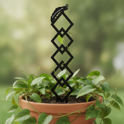 Argyle Vine Plant Trellis with Personalised Message