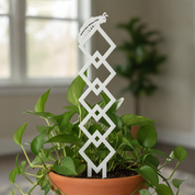 Argyle Vine Plant Trellis with Personalised Message