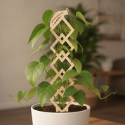 Argyle Vine Plant Trellis with Personalised Message