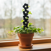 Daisy Chain Plant Trellis for Decorative Plant Support