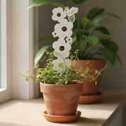 Daisy Chain Plant Trellis with Personalised Message