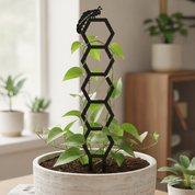 Honeycomb Pattern Plant Trellis with Personalised Message