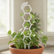 Honeycomb Pattern Plant Trellis with Personalised Message