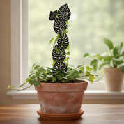Monstera Leaf Plant Trellis with Personalised Message
