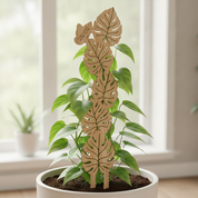 Monstera Leaf Plant Trellis with Personalised Message