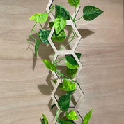 Plant Trellis design B option