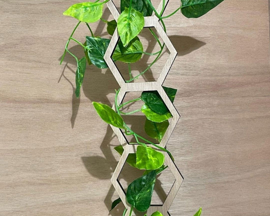 Plant Trellis design B option