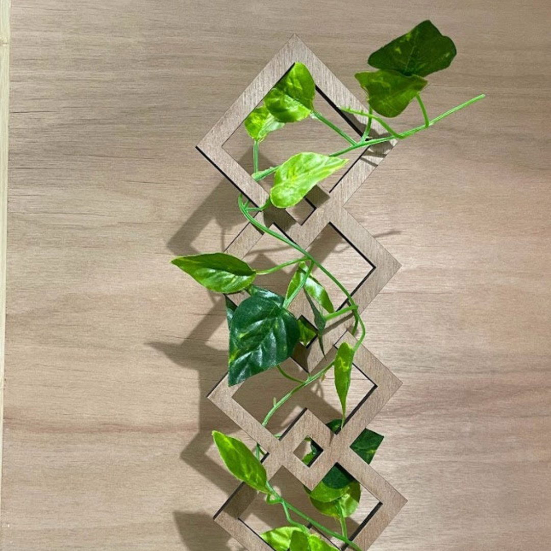 Plant Trellis design C option