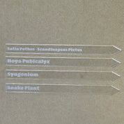 Samples of clear acrylic plant marker with engrave