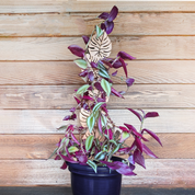 Decorative Plant Trellis