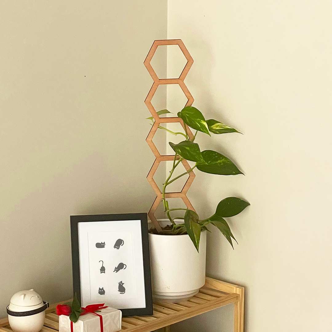 Decorative Plant Trellis