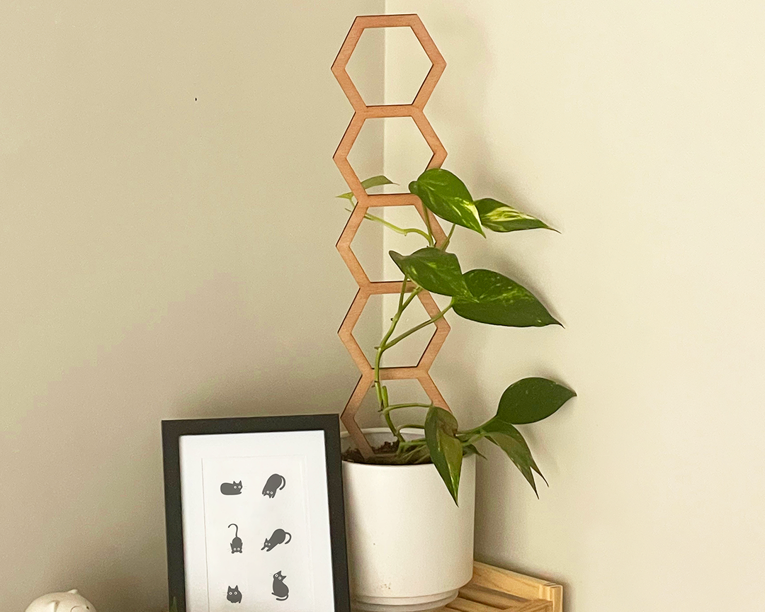Trellis-Wood_Design-B_01_Image_Front-View.png