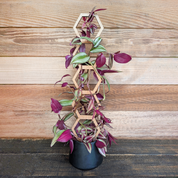 Decorative Plant Trellis