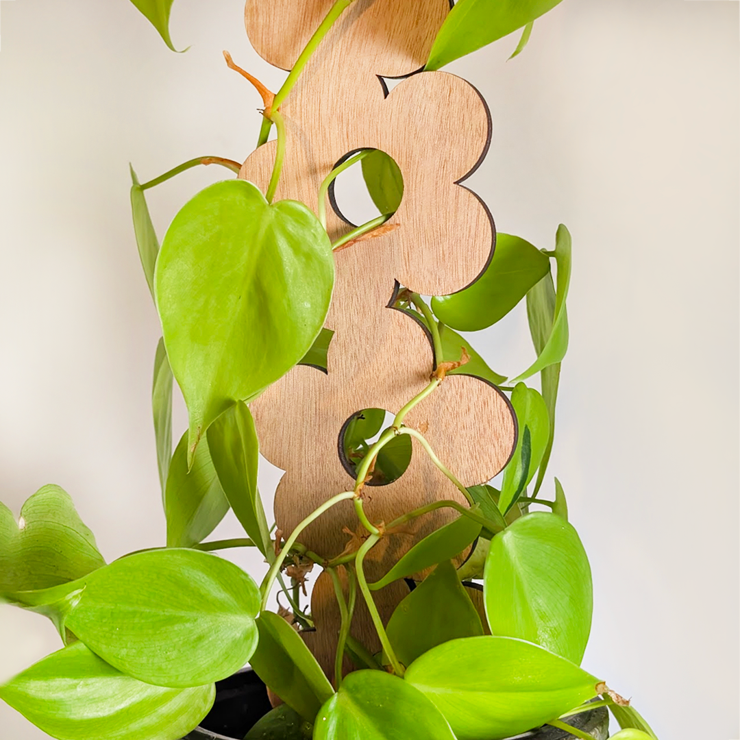 Decorative Plant Trellis