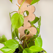 Decorative Plant Trellis