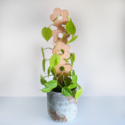 Decorative Plant Trellis