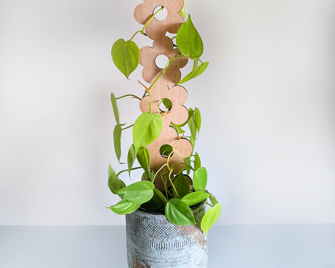 Trellis-Wood_Design-D_01_Image_Front-View.png